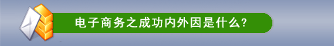 电子商务成功之内外因是什么？